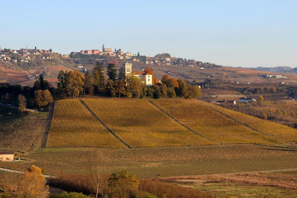 Cosa si nasconde tra botti d’autore e paesaggi d’autunno? Le cantine che tutti cercano